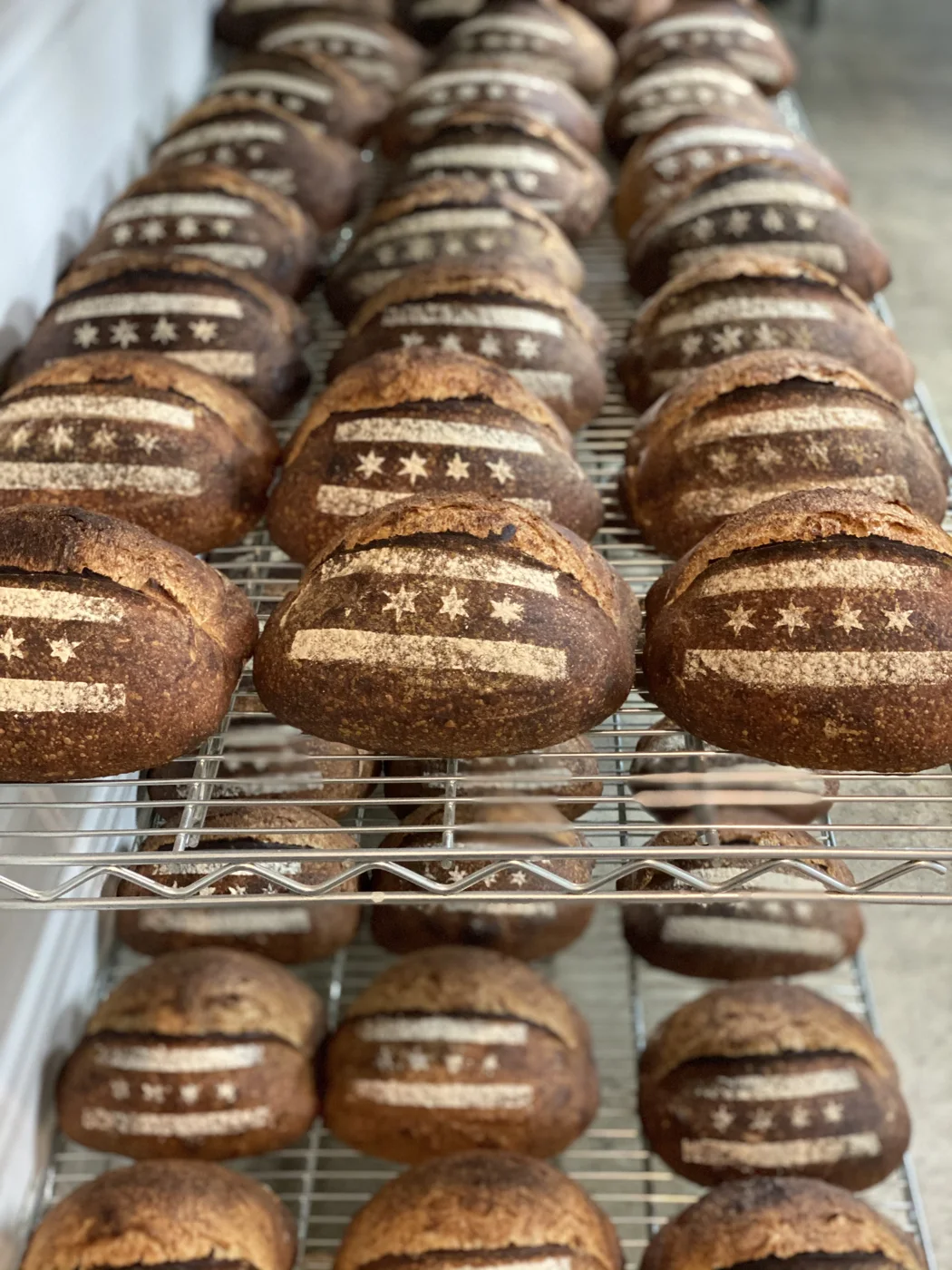 Freshly baked NDF sourdough loaves